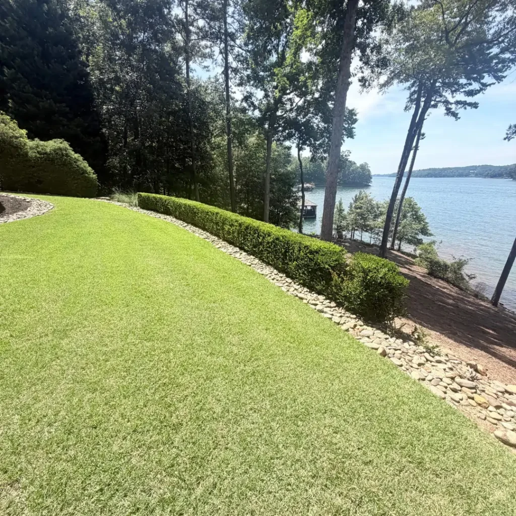 professional lawn maintenance in Upstate South Carolina