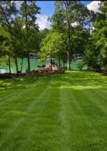 professional lawn maintenance